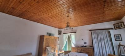 WhatsApp-Image-2024-10-12-at-15-54-45--3-