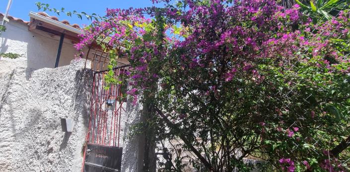 Image No.18-Maison de 2 chambres à vendre à Gytheio