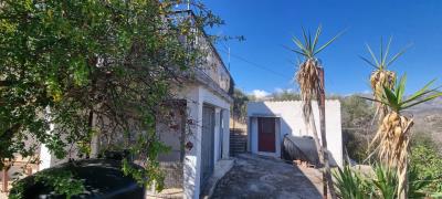 WhatsApp-Image-2024-10-27-at-13-40-02--2-