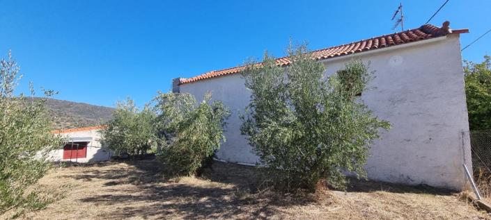 Image No.15-Maison de 2 chambres à vendre à Gytheio
