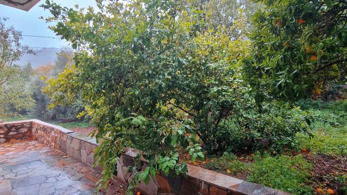 Image No.23-4 Bed House for sale