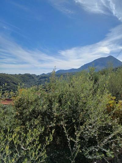 Image No.5-4 Bed House for sale