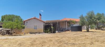 WhatsApp-Image-2025-07-19-at-21-57-26