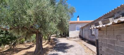 WhatsApp-Image-2025-07-19-at-21-57-26--1-