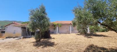 WhatsApp-Image-2025-07-19-at-21-57-27