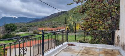 WhatsApp-Image-2025-03-31-at-17-53-35