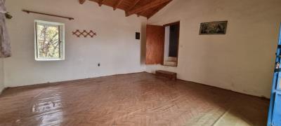 WhatsApp-Image-2025-03-31-at-17-53-38