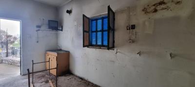 WhatsApp-Image-2025-03-31-at-17-53-39--1-