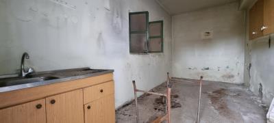 WhatsApp-Image-2025-03-31-at-17-53-39--2-