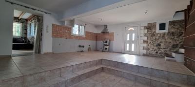 WhatsApp-Image-2025-03-31-at-17-50-06