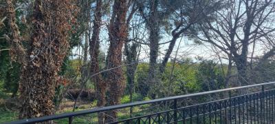 WhatsApp-Image-2025-03-31-at-17-50-07--3-