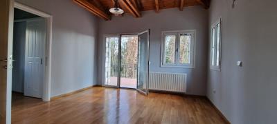 WhatsApp-Image-2025-03-31-at-17-50-08--1-