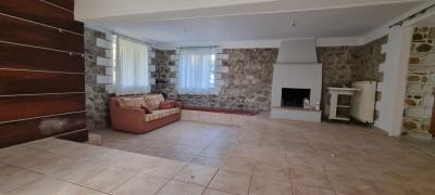 WhatsApp-Image-2025-03-31-at-17-50-04