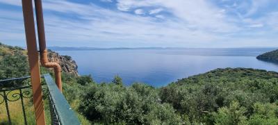 WhatsApp-Image-2025-03-31-at-18-57-21