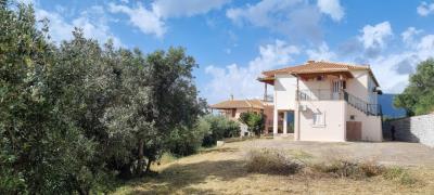 WhatsApp-Image-2025-03-31-at-18-55-28