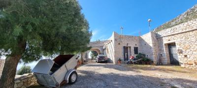 WhatsApp-Image-2025-03-31-at-19-03-00