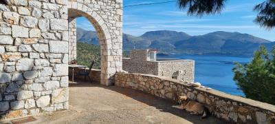 WhatsApp-Image-2025-03-31-at-19-03-01