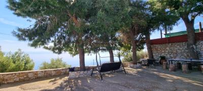 WhatsApp-Image-2025-03-31-at-19-03-05