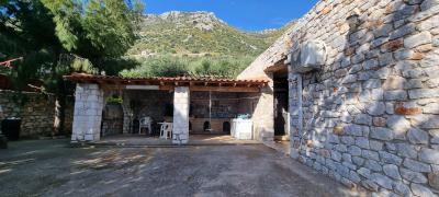 WhatsApp-Image-2025-03-31-at-19-03-06