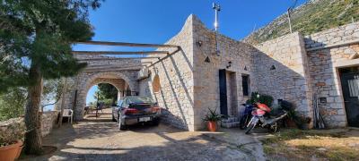 WhatsApp-Image-2025-03-31-at-19-03-07--1-