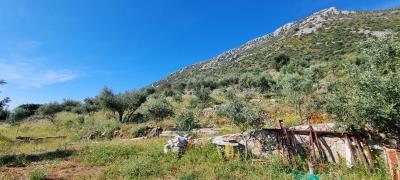 WhatsApp-Image-2025-03-31-at-19-03-08--1-