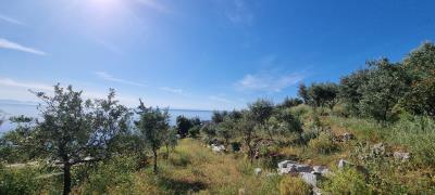 WhatsApp-Image-2025-03-31-at-19-03-08