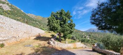 WhatsApp-Image-2025-03-31-at-19-03-09