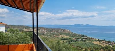 WhatsApp-Image-2025-03-31-at-19-00-37--2-