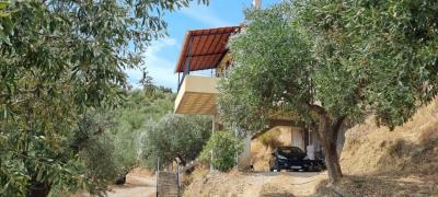 WhatsApp-Image-2025-03-31-at-19-00-37