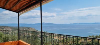 WhatsApp-Image-2025-03-31-at-19-00-38--1-