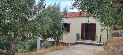 WhatsApp-Image-2025-03-31-at-19-00-34