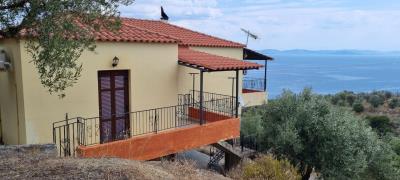 WhatsApp-Image-2025-03-31-at-19-00-36--1-