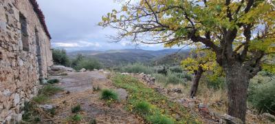 WhatsApp-Image-2025-05-12-at-16-26-50