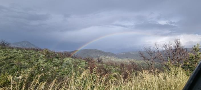 Image No.9-Ferme de 1 chambre à vendre à Gytheio