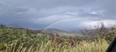 WhatsApp-Image-2025-05-12-at-16-27-01