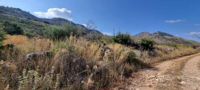 WhatsApp-Image-2025-05-12-at-16-27-03--1-