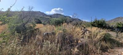 WhatsApp-Image-2025-05-12-at-16-27-03--2-