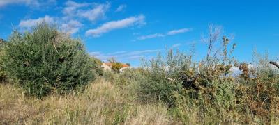 WhatsApp-Image-2025-05-12-at-16-27-03