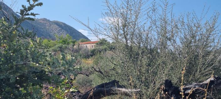 Image No.13-Ferme de 1 chambre à vendre à Gytheio