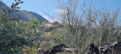 WhatsApp-Image-2025-05-12-at-16-27-04--1-