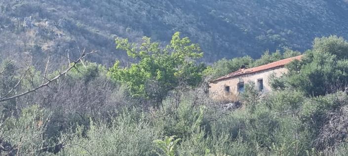 Image No.6-Ferme de 1 chambre à vendre à Gytheio