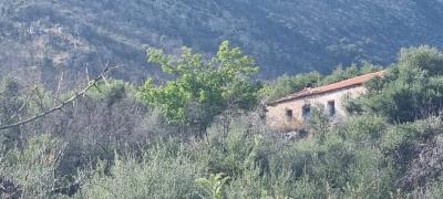 WhatsApp-Image-2025-05-12-at-16-27-04--2-