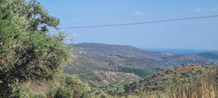 Image No.7-Ferme de 1 chambre à vendre à Gytheio