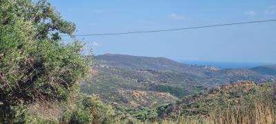 WhatsApp-Image-2025-05-12-at-16-27-04--3-