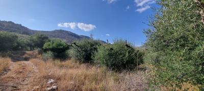 WhatsApp-Image-2025-05-12-at-16-27-04