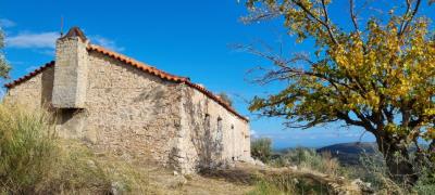 WhatsApp-Image-2025-06-08-at-23-55-29--1-