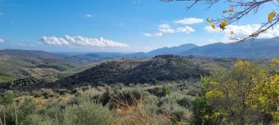 WhatsApp-Image-2025-06-08-at-23-55-30