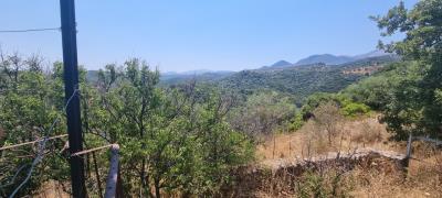 WhatsApp-Image-2025-07-28-at-11-32-55--1-