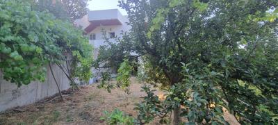 WhatsApp-Image-2025-07-28-at-11-35-49--1-