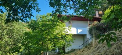 WhatsApp-Image-2025-07-28-at-11-35-49